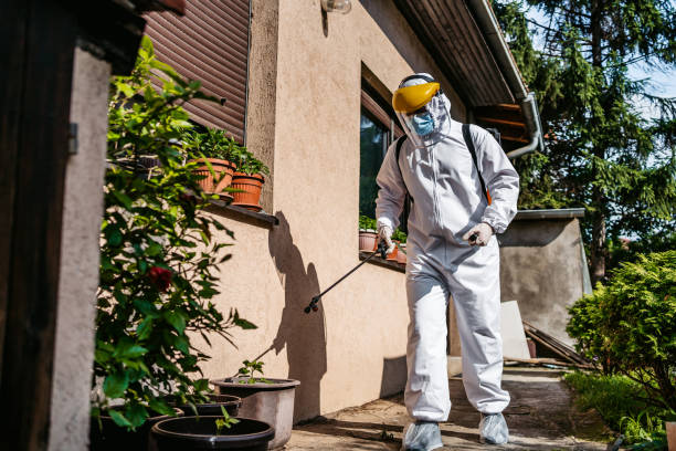 Best Pest Control Cost  in Camp Point, IL