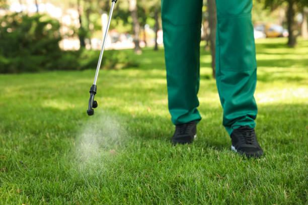 Best Affordable Pest Control Services  in Camp Point, IL