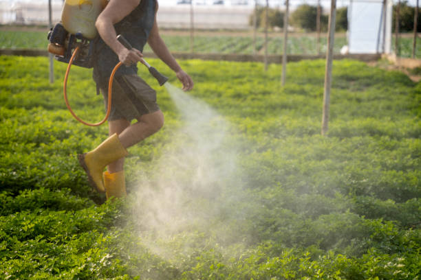 Best Exterminator Services  in Camp Point, IL