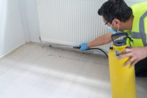 Best Emergency Pest Control  in Camp Point, IL